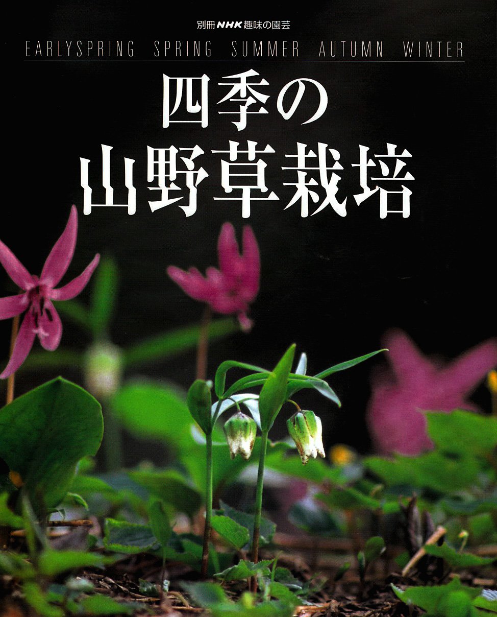 お探しの山野草あります お探しの山野草あります