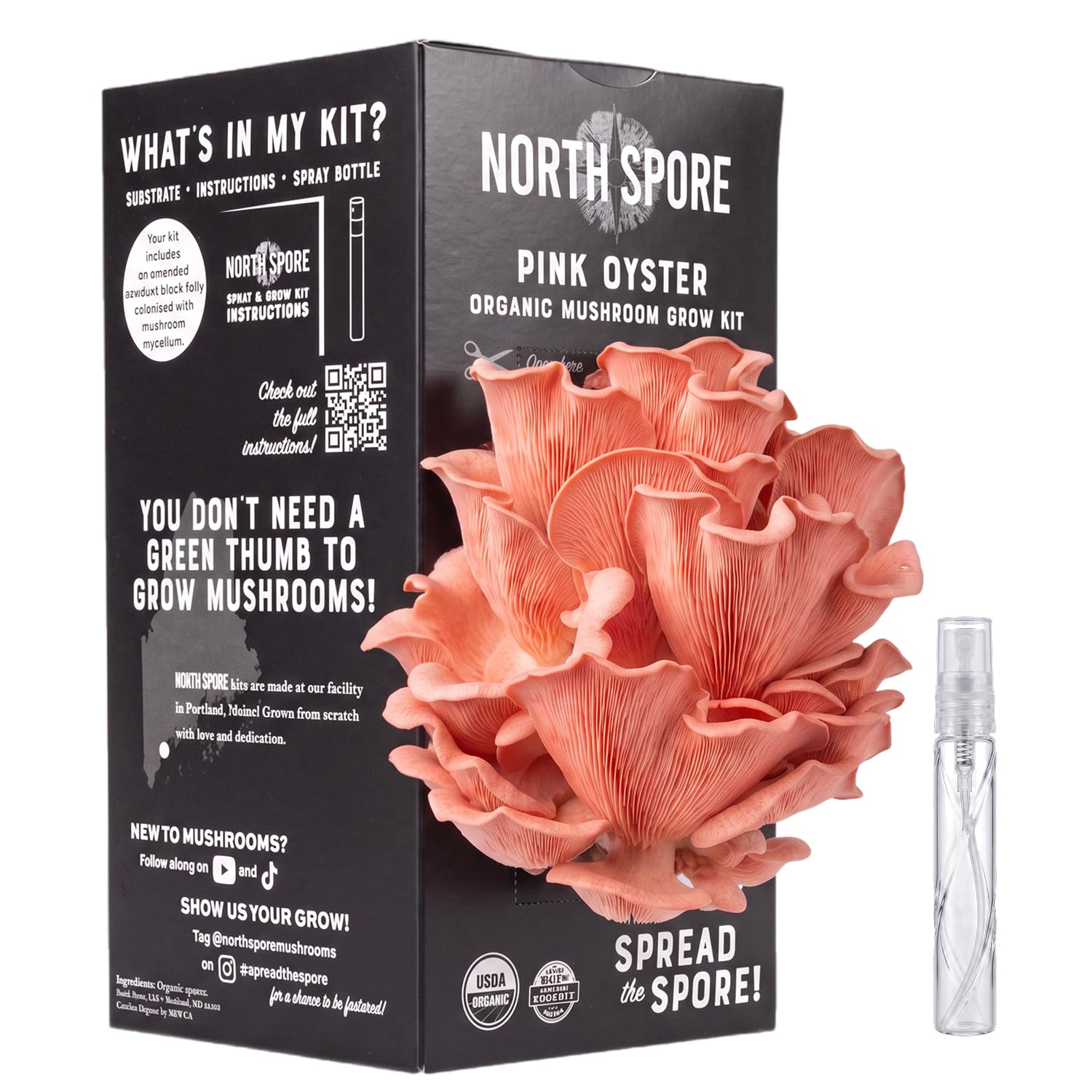North Spore Organic Pink Oyster Mushroom Grow Kit