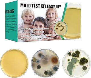 Comprehensive DIY Mold Test Kits for Home - Multiple Detection Tests for Surfaces, HVAC Systems, & Indoor Air Quality - Includes Detailed Mold - Fast, Reliable, & Safe for Both Indoor & Outdoor Use