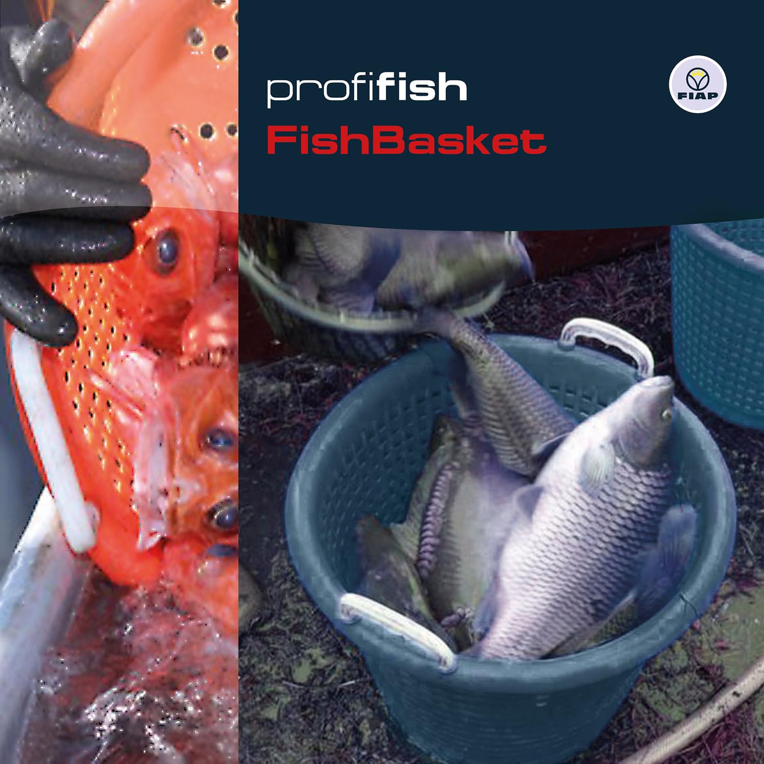 FIAP profifish FishBasket 60 - Fischkorb - Behälter - Fischwanne - lebensmittelecht - hohe Beständigkeit - Farbe orange - Material Kunststoff PE-LD - Volumen 60 Liter - Fischzucht - Teichwirtschaft