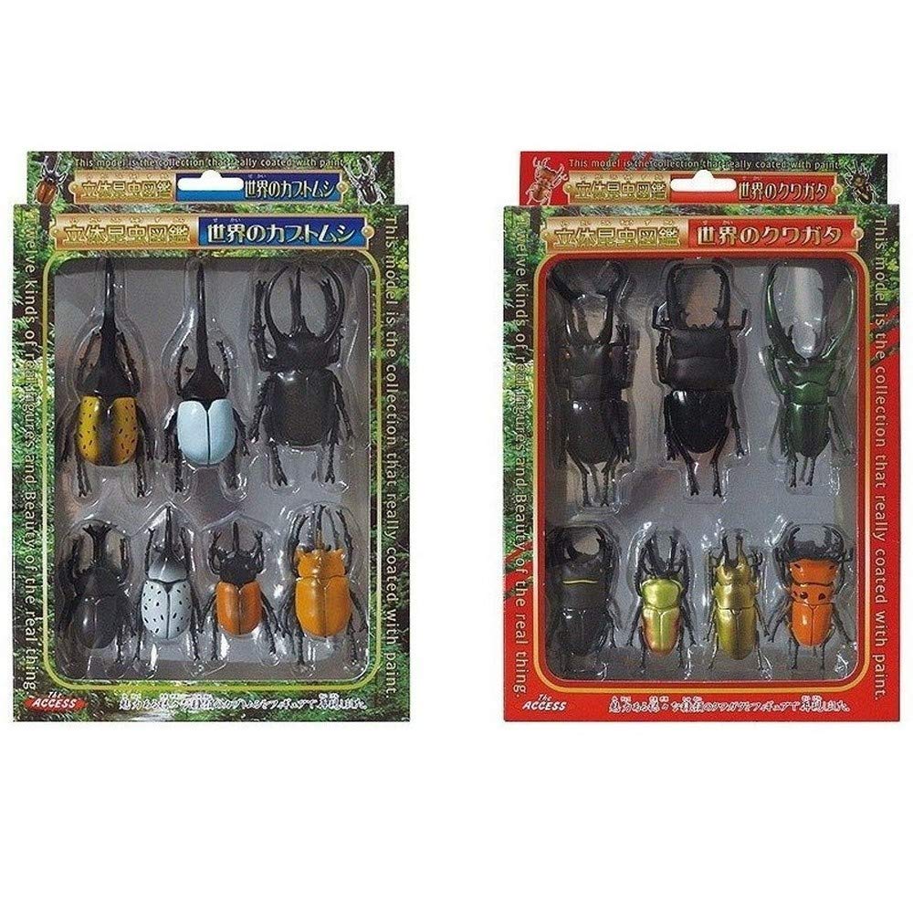 Amazon | 立体昆虫図鑑 世界のカブトムシ＆世界のクワガタ 2個セット  