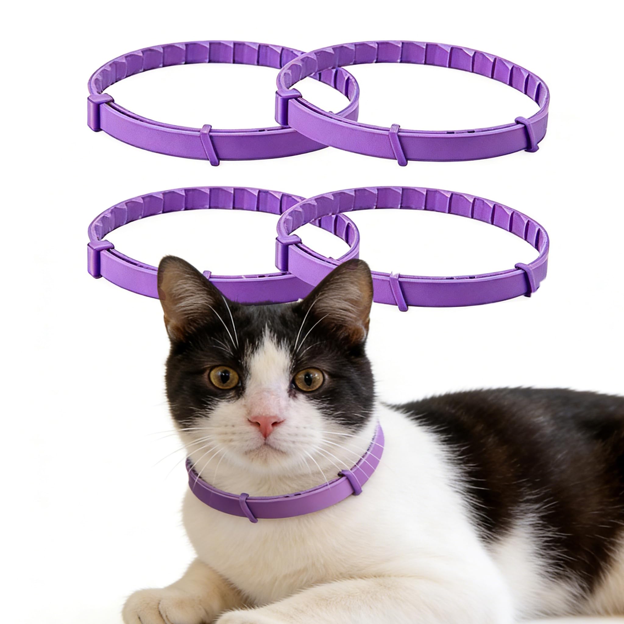 4 Pack Calming Collar for Cats Pheromone Cat Calming Collar 15 Inches Adjustable Water Resistant Breakaway Calming Collars(4 PCS, Purple)