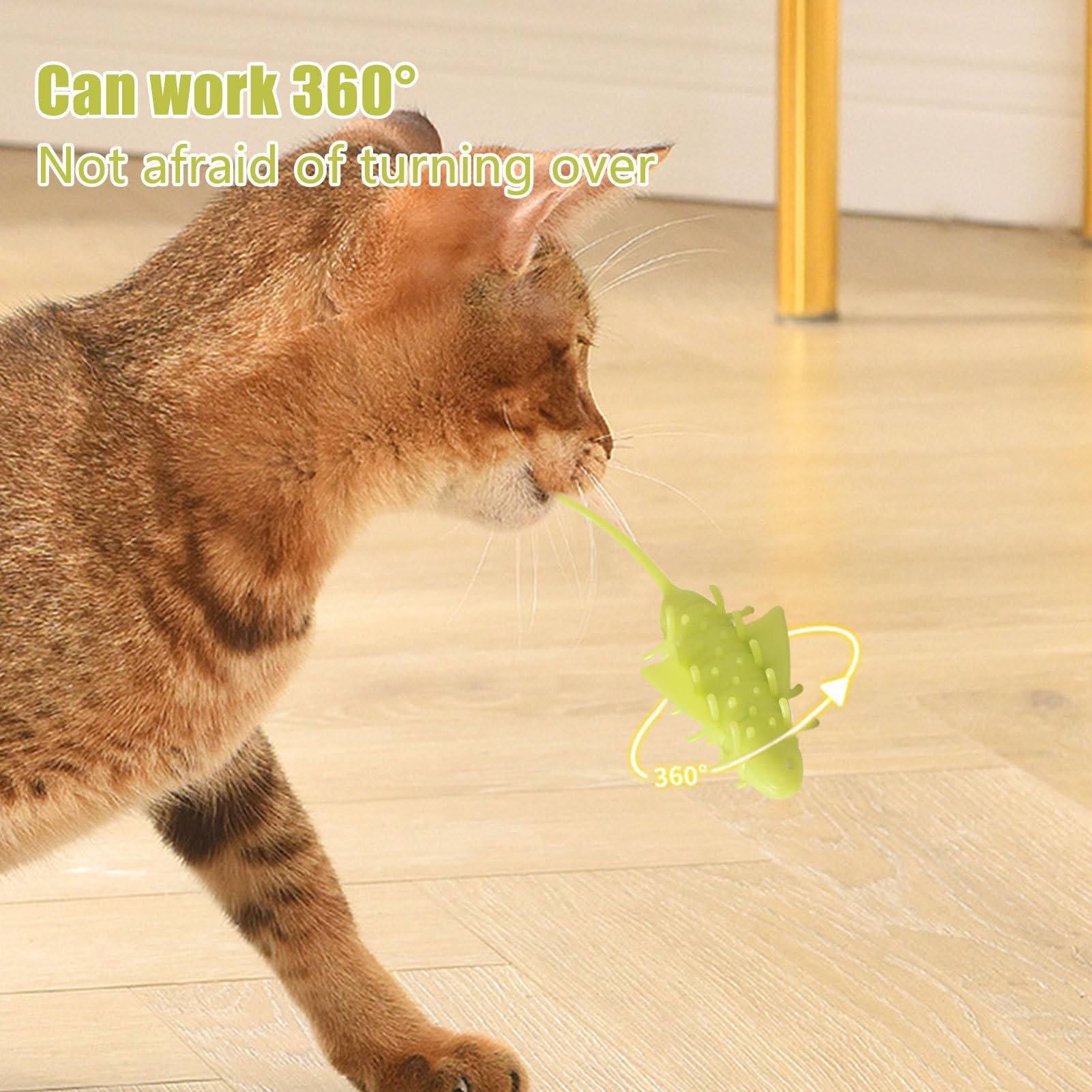 Juguetes para Gatos， Juego de masticación automática for Gatitos, for Ejercicios Alivio del aburrimiento en Interiores y Exteriores, simulación Mental