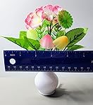 Review Image by Judy in FL Judy in FL