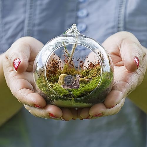 Miniatura 3 de TEHAUX 12 piezas de micro paisaje caracol mini caracol decoración de caracol ornamento de micro escena decoración de caracol de resina caracol