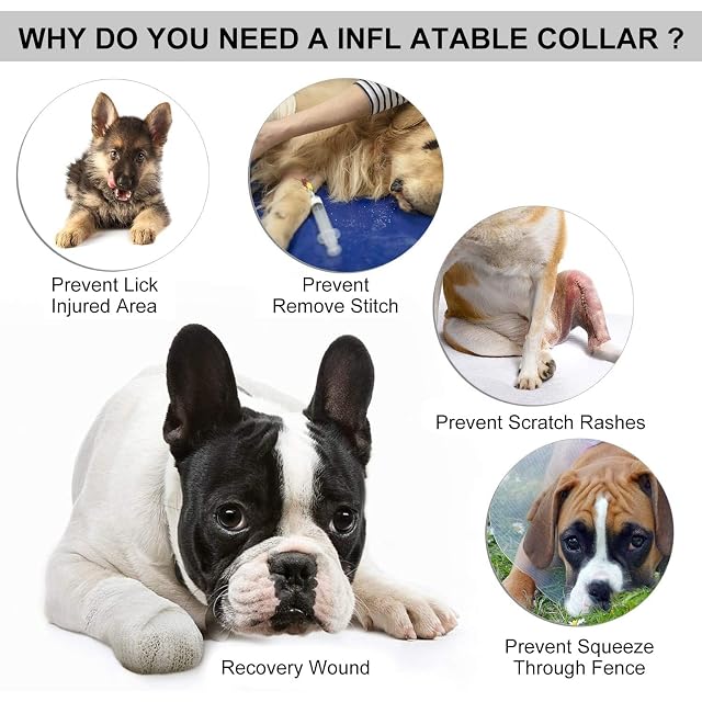 Foto 3 de 7 de PETCUTE Conos De Mascotas Collarin Isabelino Collar de recuperación para Perros Ajustable para Cachorros…