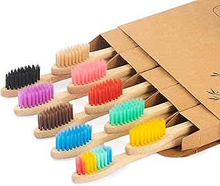 NUDUKO Biodegradable Toothbrush 10 Pack Bamboo Toothbrushes - Eco-Friendly, Natural Wooden Tooth Brush, BPA Free Organic Soft Bristle Toothbrush,Soft Toothbrushes for Adults (Multicolored Bristles)