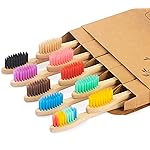 NUDUKO Biodegradable Toothbrush 10 Pack Bamboo Toothbrushes - Eco-Friendly, Natural Wooden Tooth Brush, BPA Free Organic Soft Bristle Toothbrush,Soft Toothbrushes for Adults (Multicolored Bristles)