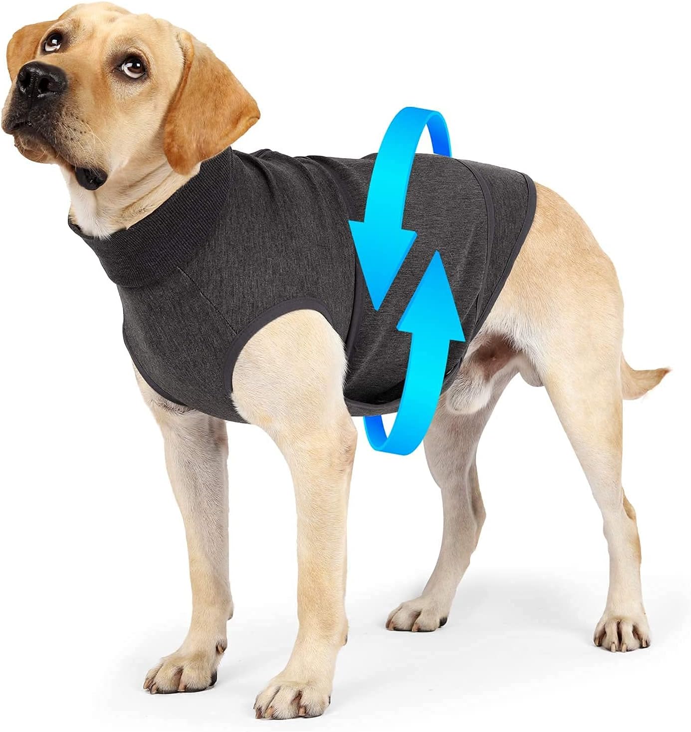 Sale > best anxiety jacket for dogs > in stock