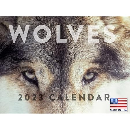 Amazon オオカミカレンダー 23 月間壁掛けカレンダー オオカミ かわいい 赤ちゃん 動物 野生の自然 写真保存 大型プランナー 24ヶ月 23年フルグリッド ボーナス24年プレビューチャート アメリカ製 カレンダー 文房具 オフィス用品