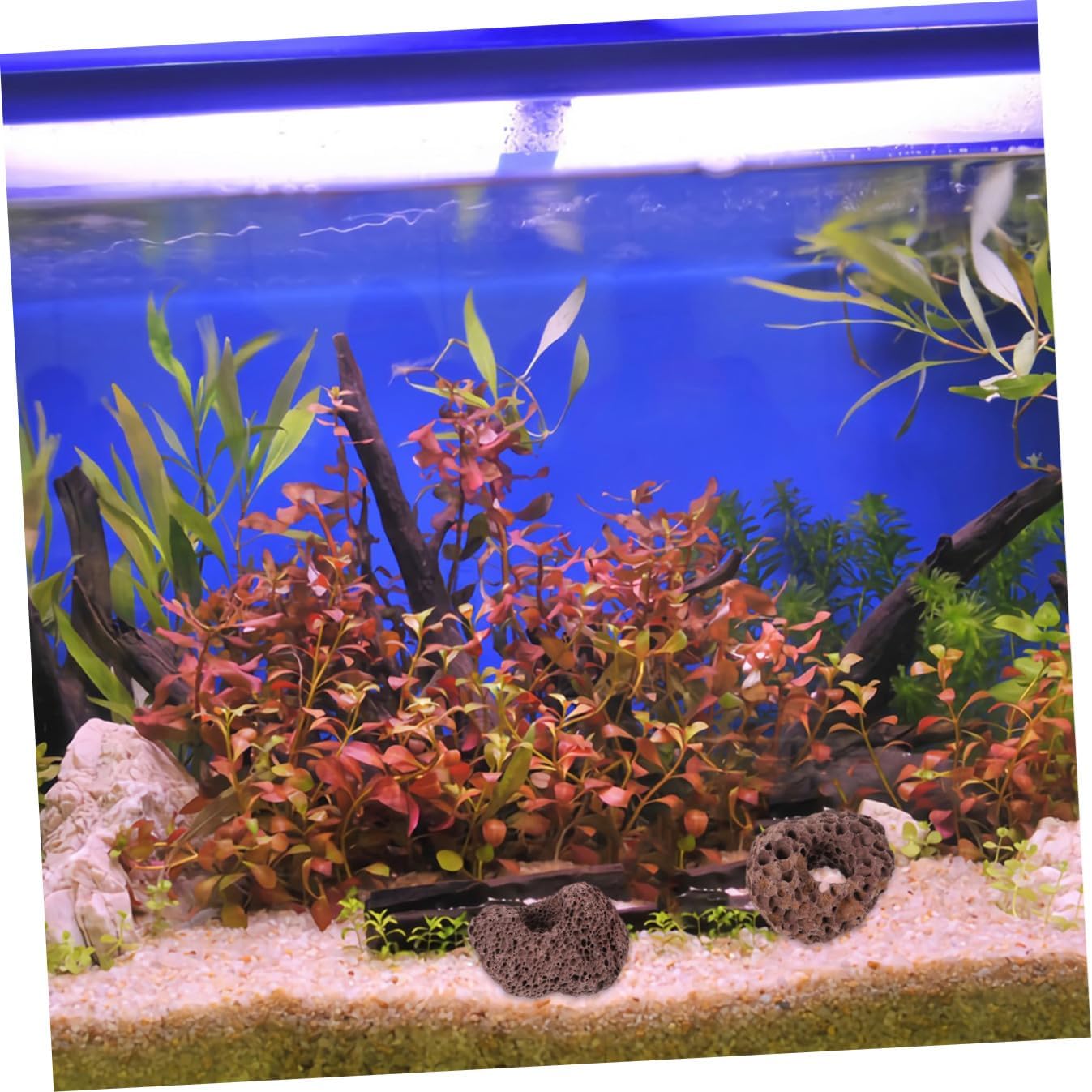 ibasenice Volcanic Rocks Aquarium Ornament 10pcs 5-6cm Fish Tank Stone Plant Holder Fish Habitat Decoration for Aquascaping