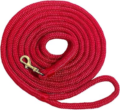 Double Braided Nylon Horse Lead Rope with Snap Hook, Black, 10 FT, Durable Lightweight Red, 10FT