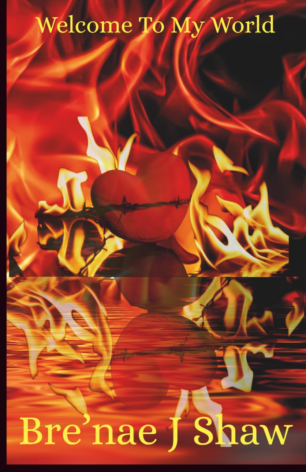Welcome To My World