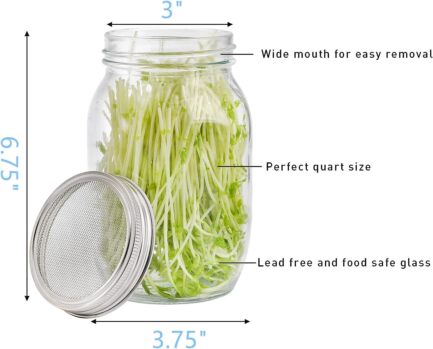 LINGJIONG Germination Avec Couvercles | Couvercle Passoire Bocal Mason, Luzerne Et Choux Haricots Mungo, Pot En Maille D'acier Inoxydable Brocoli, Luzerne