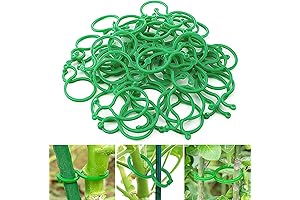 300 PCS Plant Support Clips for Climbing Plants