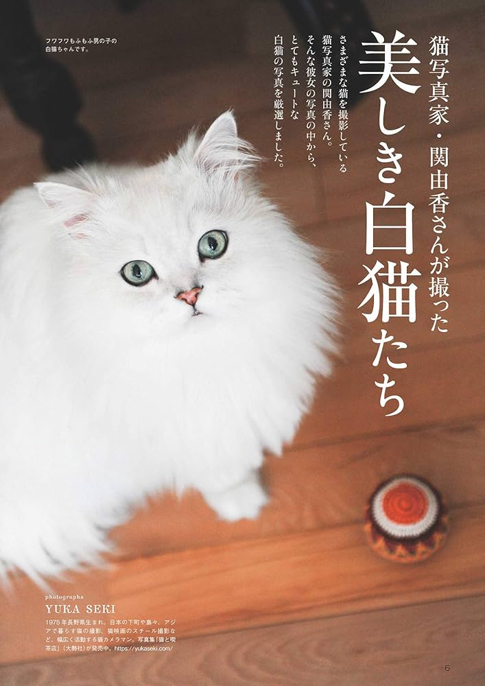 白猫好き 楽天市場】1/6サイズ 宮の白猫 リアルフィギュア ネコ動物彫像