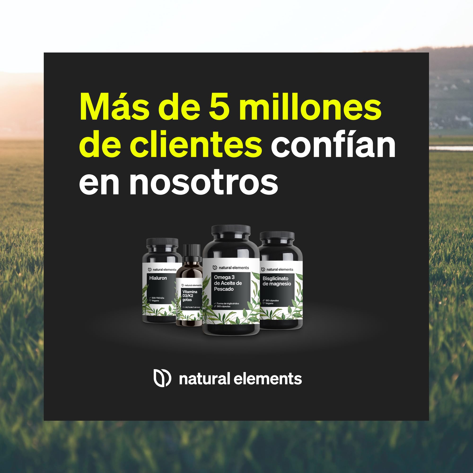 L-Triptófano puro 500mg alta dosis - 240 Cápsulas para 8 meses - Triptofano de fermetación vegetal para tu bienestar completo - Sin aditivos, vegano y probado en laboratorio en Alemania