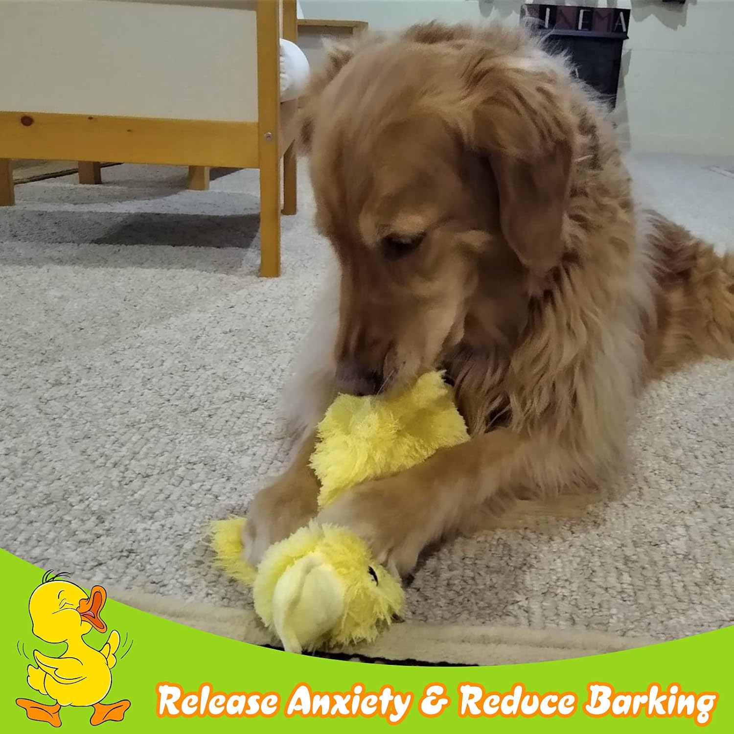 EXPAWLORER Plush Squeaky Dog Toys Set - Cute Duck and Green Dog Squeaky Toy Bundle Built-in Squeaker Durable Stuffed Filler Chew Toy Interactive for Small to Medium Breeds Dogs Playing