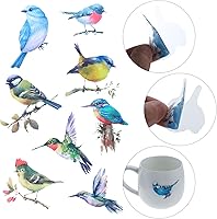 Vista 3 de 80 calcomanías transparentes de pájaros moscados, calcomanías para niños, calcomanías de pájaros de mascotas para álbumes de recortes, tarjetas