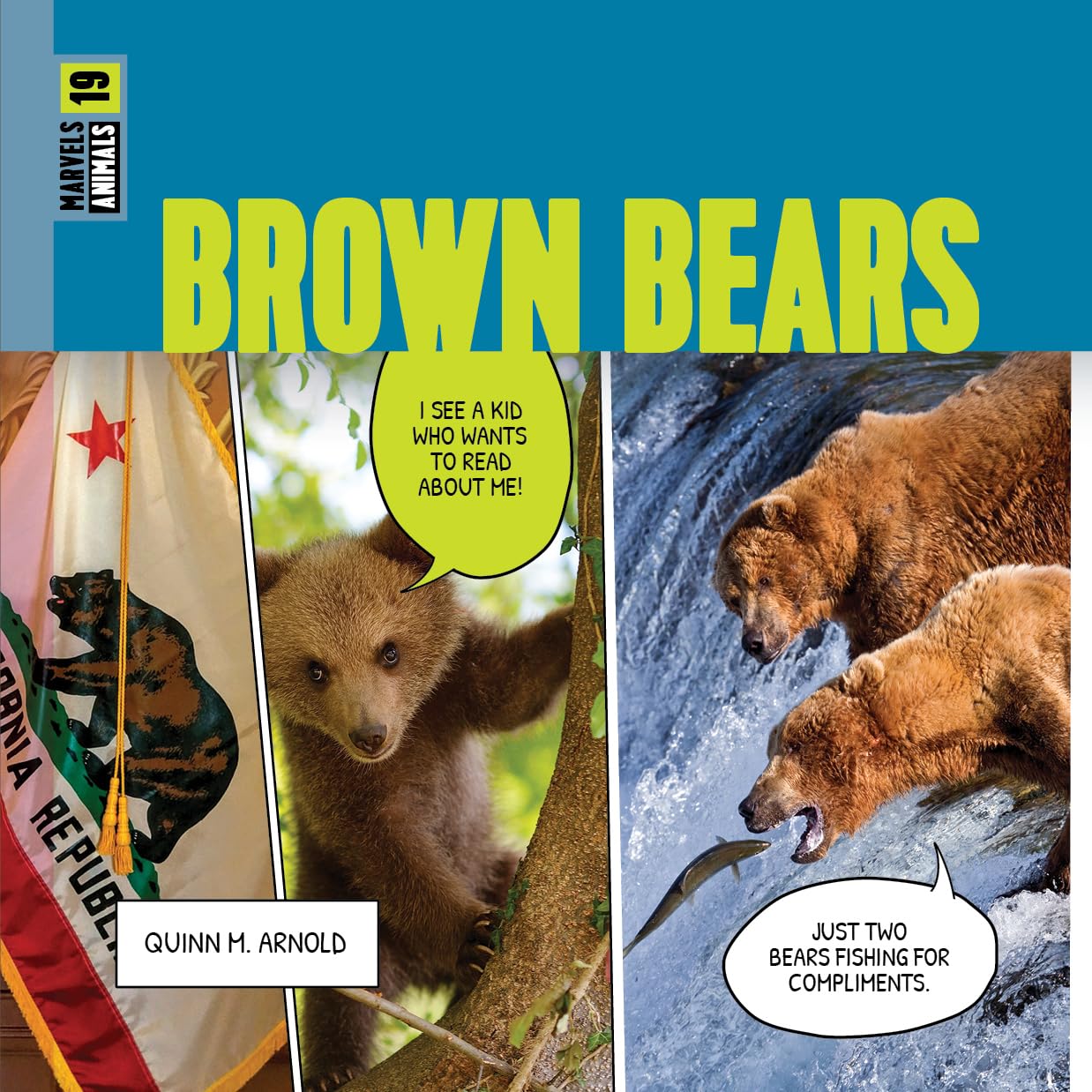 Brown Bears (Marvels)      Library Binding – January 1, 2025
