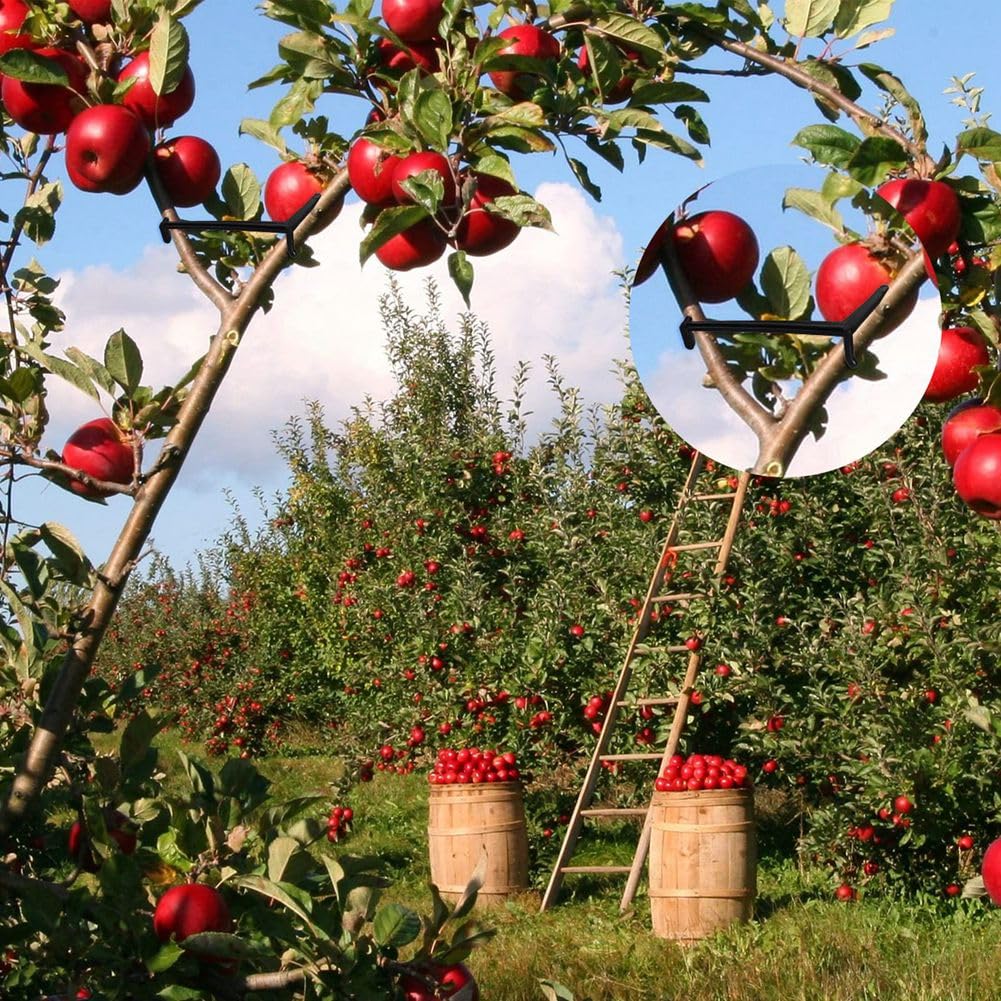 100 stampi per rami in plastica, multifunzionali, altamente efficienti, resistenti all'usura, riutilizzabili per l'agroforestale (estrattore per alberi da frutta grande (13,5 cm di lunghezza) 100