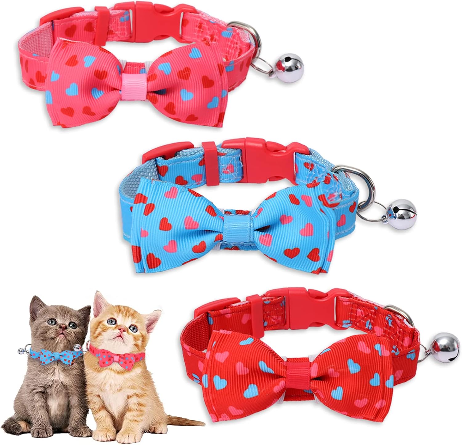 kitten day collar