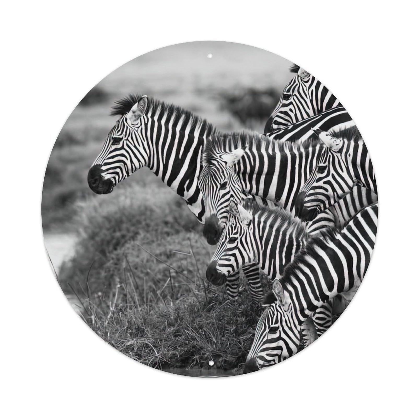 Zebras Wildlife Herd of Zebras Vintage Metal Tin Sign Plaque Wall Decor for Cafe, Club, Garden Round Metal Poster 8x8Inch