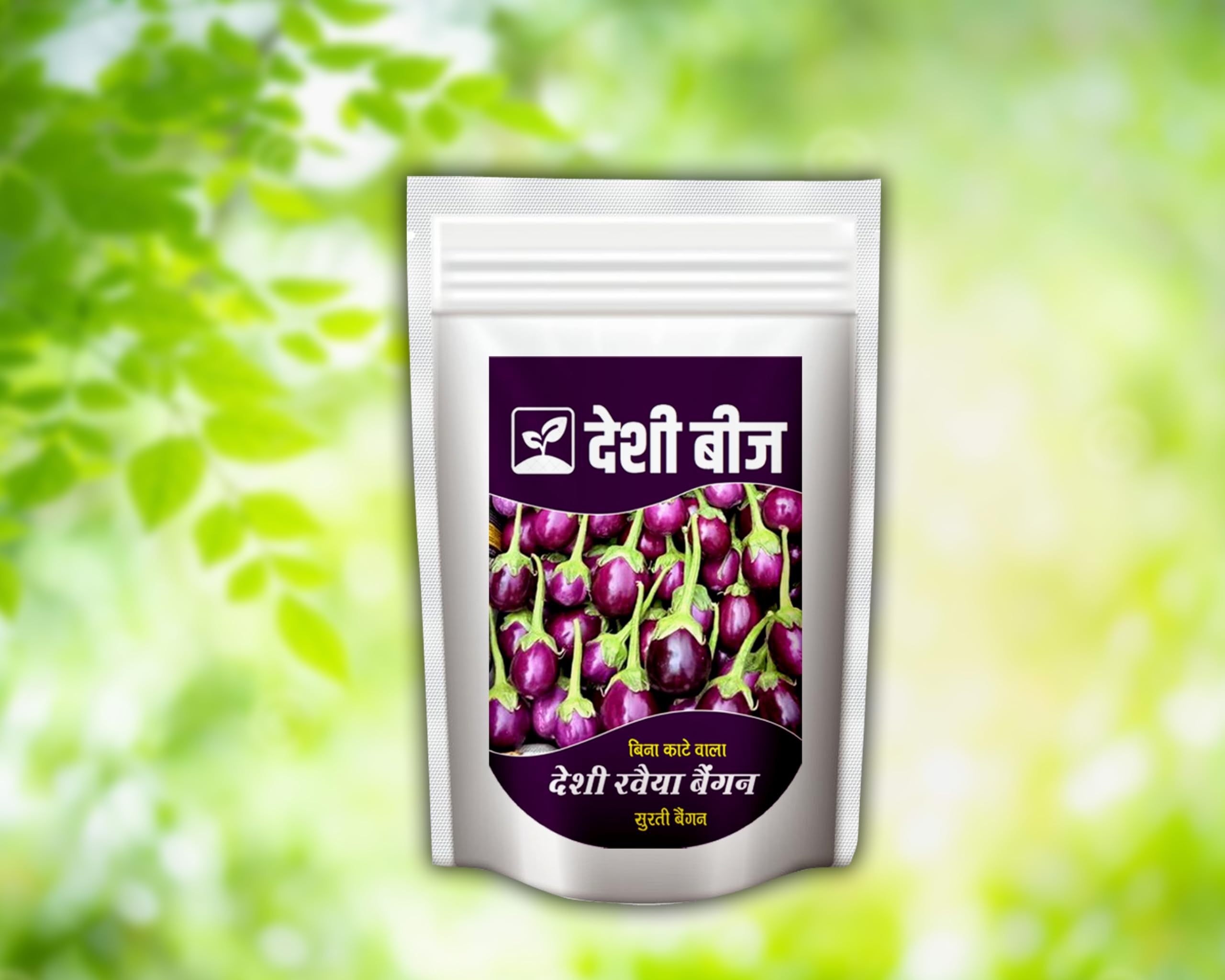 Purple Brinjal Seed,Organic Purple Round Brinjal Seeds, Desi Gualbi Ravaiya Baingan-image-4