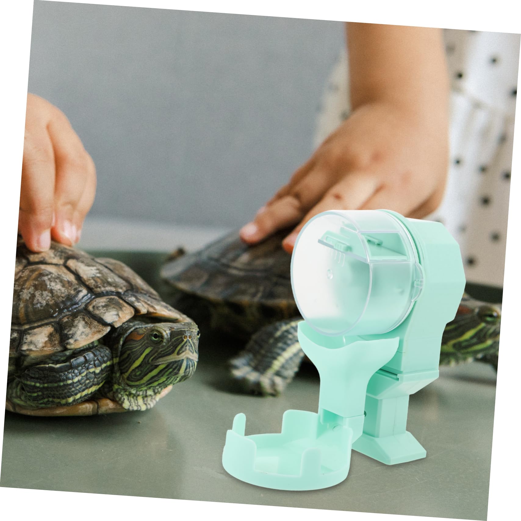 VANZACK Mangiatoia Plastico 100ml Automatica per Rettili e Tartarughe