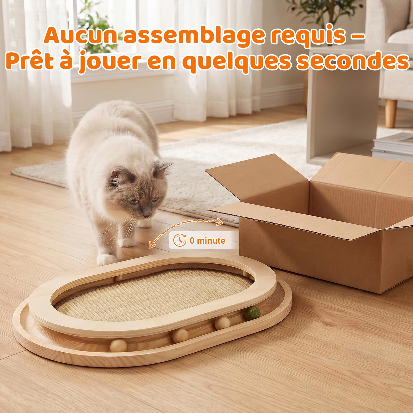 Grattoir pour Chat,Jouet pour Chat 2 en 1 avec Circuit,Tapis à Griffer