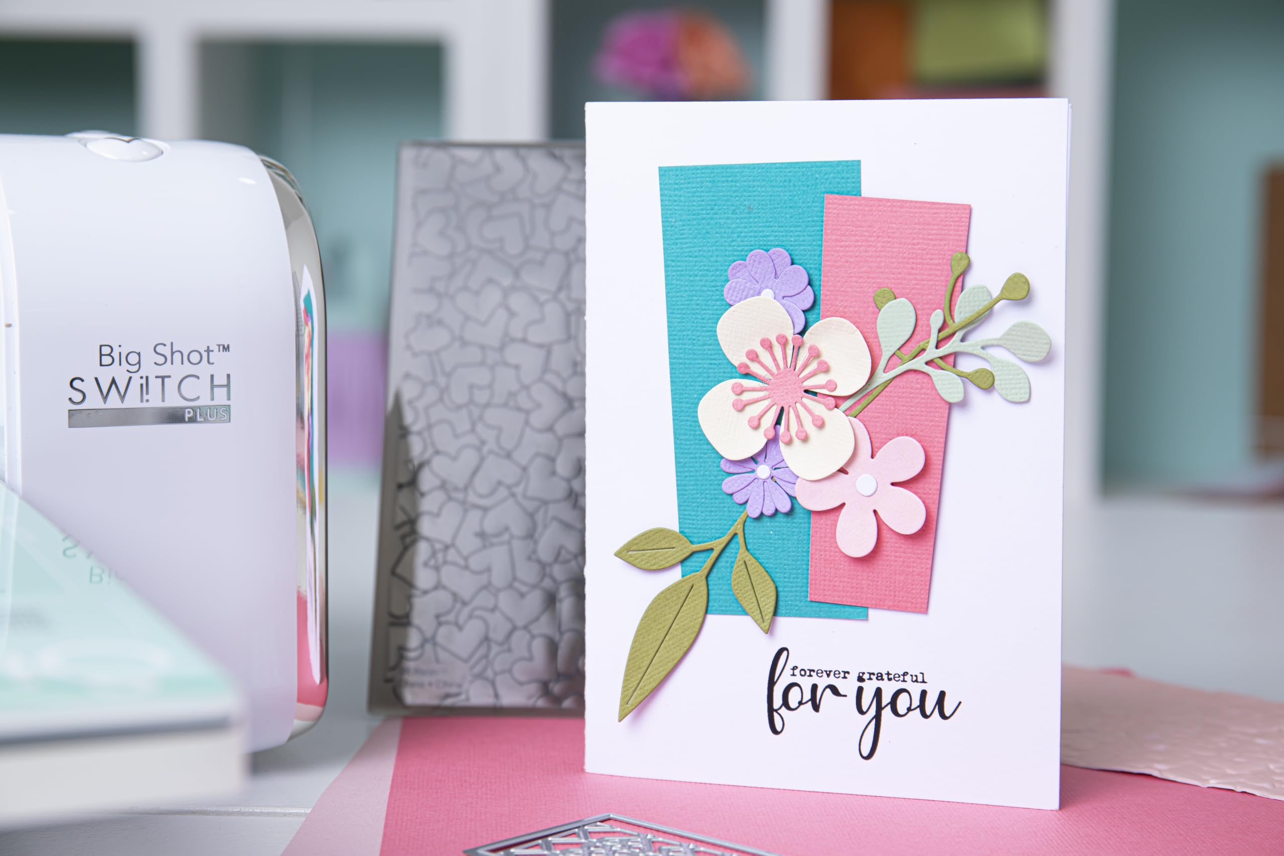 Sizzix de démarrage Big Shot Switch Plus blanc - Version européenne