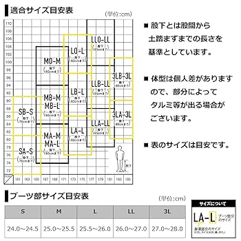 Amazon | ダイワ(DAIWA) スリムウェーダー DSW-4201VR(先丸中割