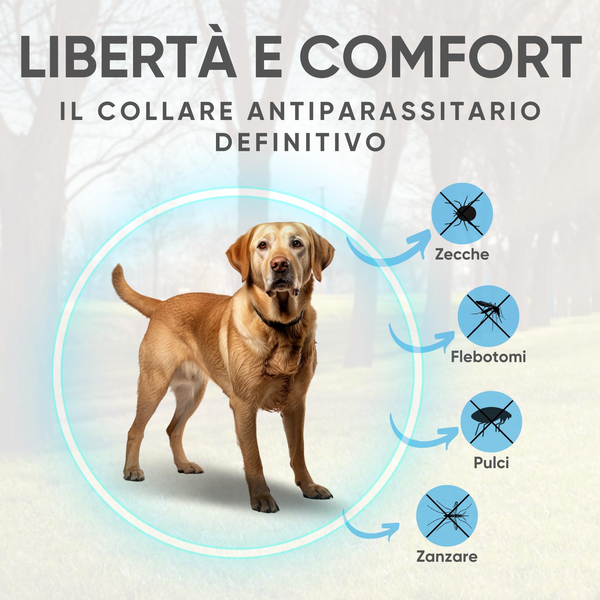 Collare Antiparassitario per Cani - Confezione da 2, Antipulci, Antizecche, Anti Zanzare, Impermeabile, Efficace per 12 Mesi, 65cm per Cani oltre 8kg