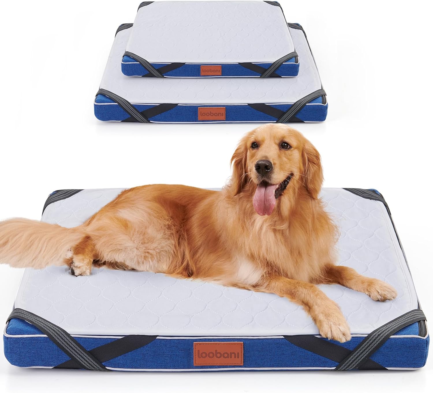 カネコアヤノ印税生活廃盤CDお宝 カネコアヤノ 印税生活（廃盤）