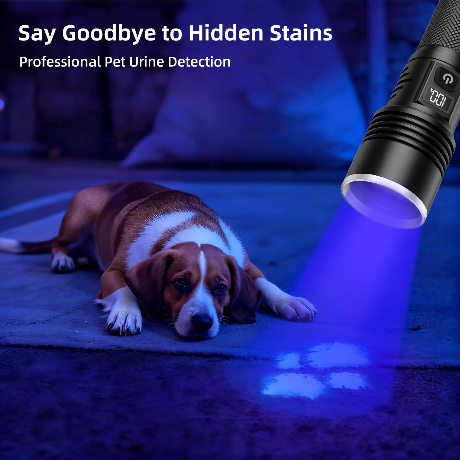 Tremdwoto 365nm UV Black Light Flashlight, UV Light Rechargeable