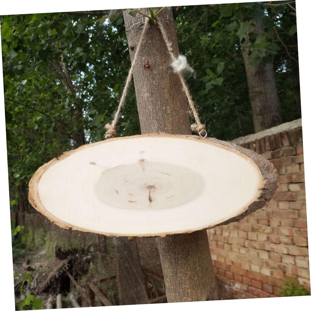 Homoyoyo 5pcs Pine Wood Wall Display Board DIY Wooden Board Pendant Oval Safe Material Boys and Girls Decor Home Cafe Decor