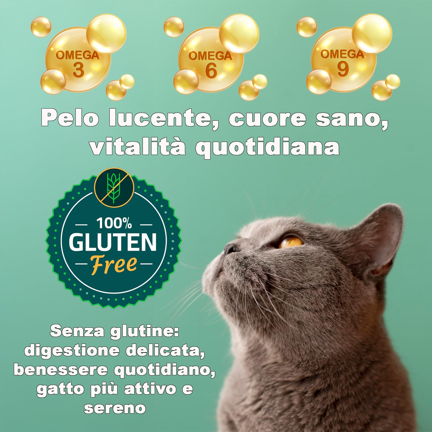 GREENHEART-PREMIUMS | Crocchette per gatti anziani | SENIOR CON PESCE E RISO | Senza Glutine | Prodotto Premium | 100% Ingredienti Naturali | Senza Coloranti Aromi e Antiossidanti Chimici (1,5 kg)