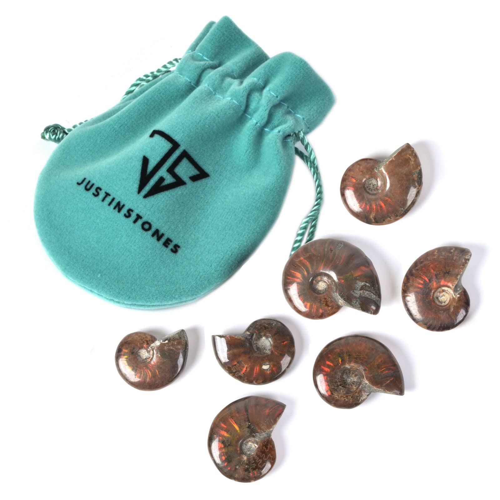 100 Grams Rainbow Opalized Ammonite Fossil Jewelry Making Rock Collection Madagascar