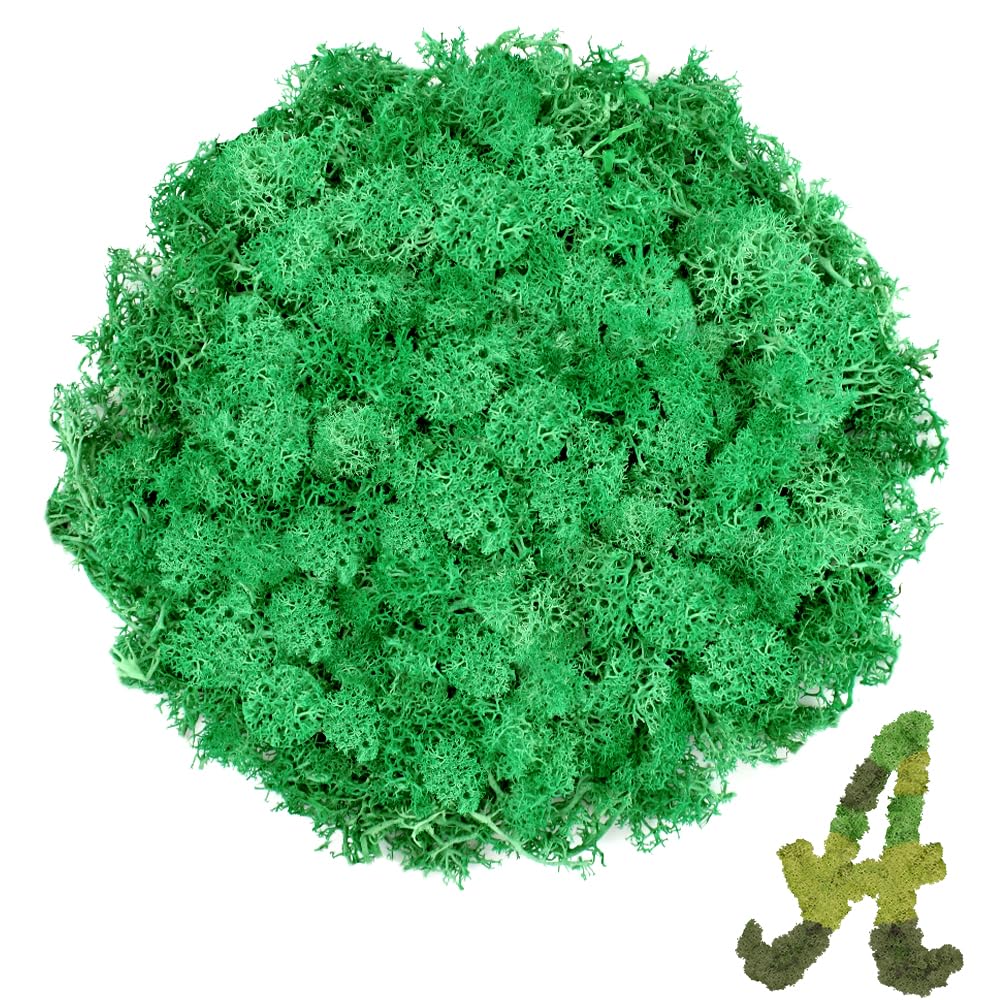 Preserved Reindeer Moss, 3.5 oz Emerald Green Moss for Crafts