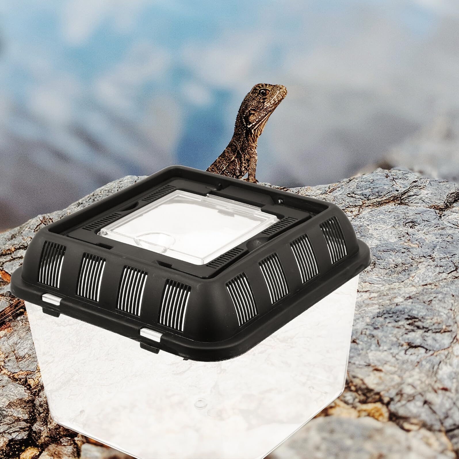 GARVALON Terrario Portatile in Acrilico per Rettili Scatola di Allevamento Trasparente per Aracnidi Rane e Serpenti Habitat Igienico per Esemplari Domestici Contenitore per Esposizione e