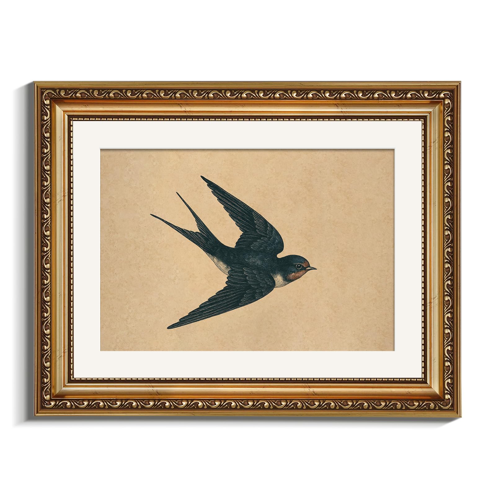VIYYIEA Gold Framed Canvas Wall Art, 11x14 Inch Vintage Swallow Wall Art, Antique Bird Illustration Print, Neutral Framed Bird Decor for Living Room Bedroom Office — image 1