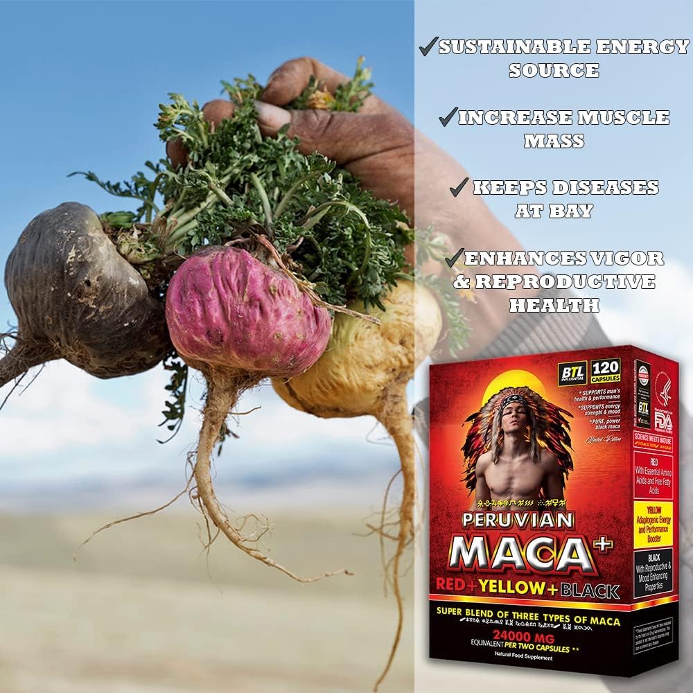 Organic Maca Root Extract Red Yellow Black 24 000mg Equivalent in 2 ...