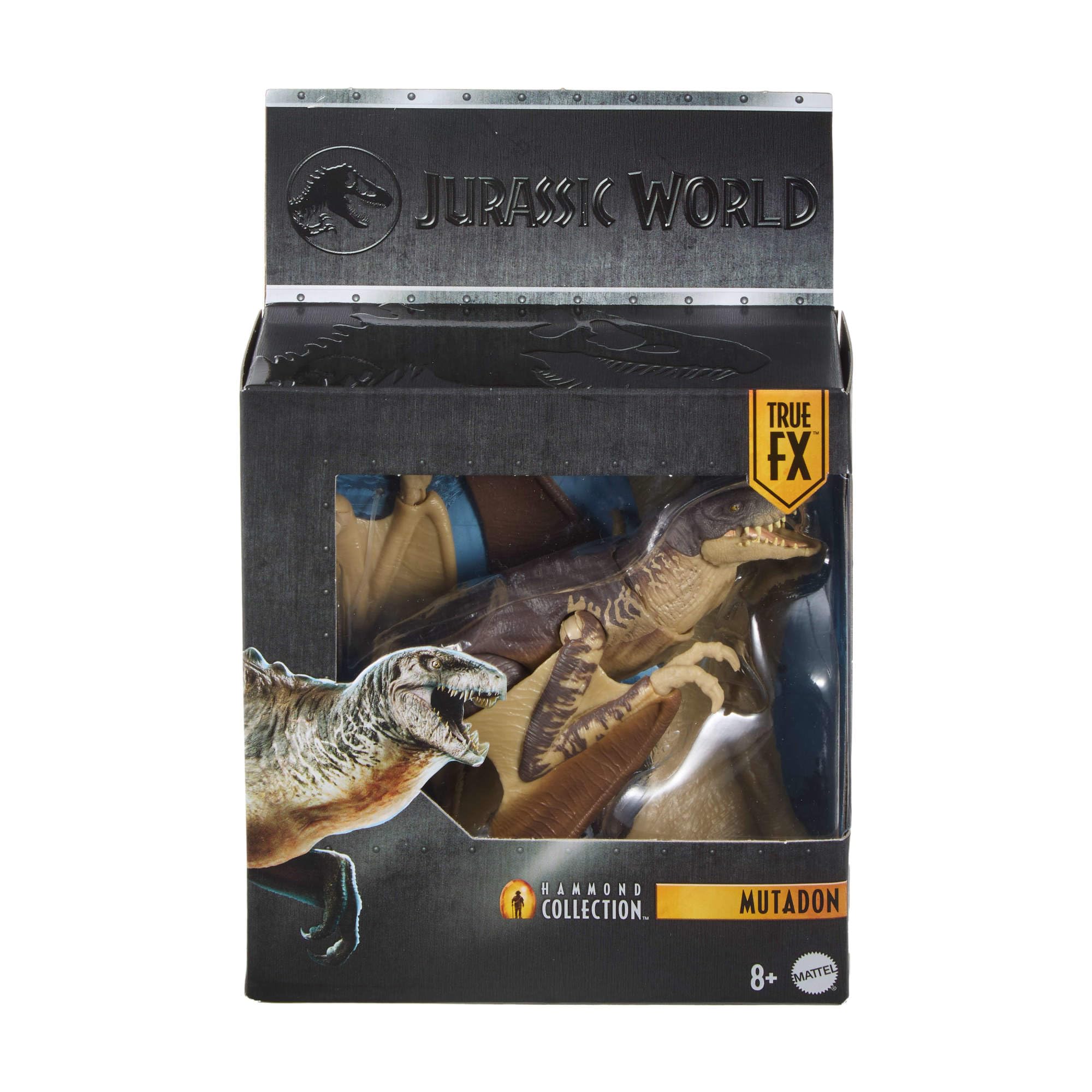Mattel Jurassic World Hammond Collection Dinosaurier Actionfigur Mutadon, Premium-Design mit realistischen Augen, beweglichen Gelenken und zusätzlichen Flügeln, JKM90