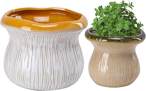 Juego de 2 macetas de cerámica para interiores y exteriores, macetas de mediados de siglo, color azul y rosa