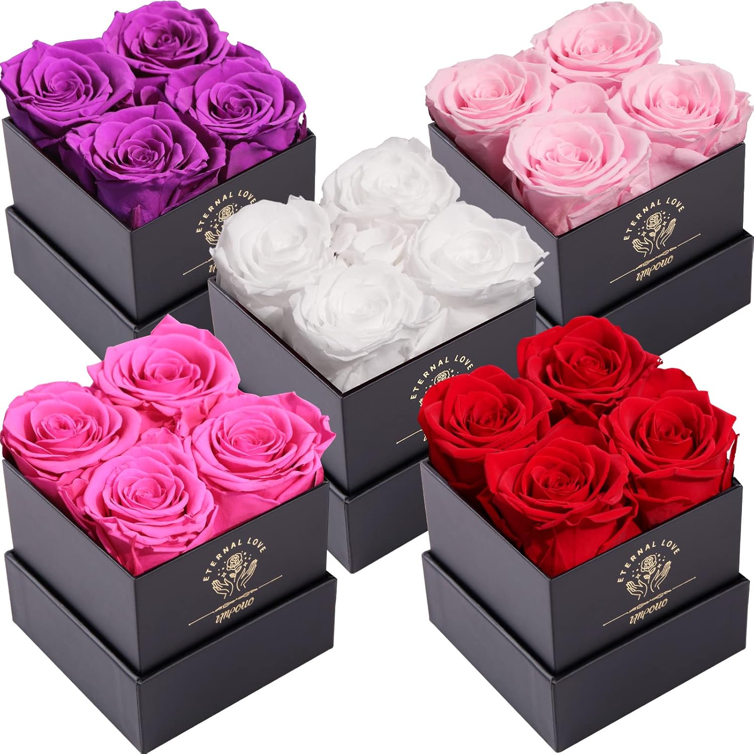 Preserved Roses Red+Purple+Pink+Radiant Pink+White Bundle, Flowers for Delivery Prime - Roses in a Box - Real Roses That Last a Year - Fresh Flowers - Unique Gifts for Women, Mothers Day, Valentine’s