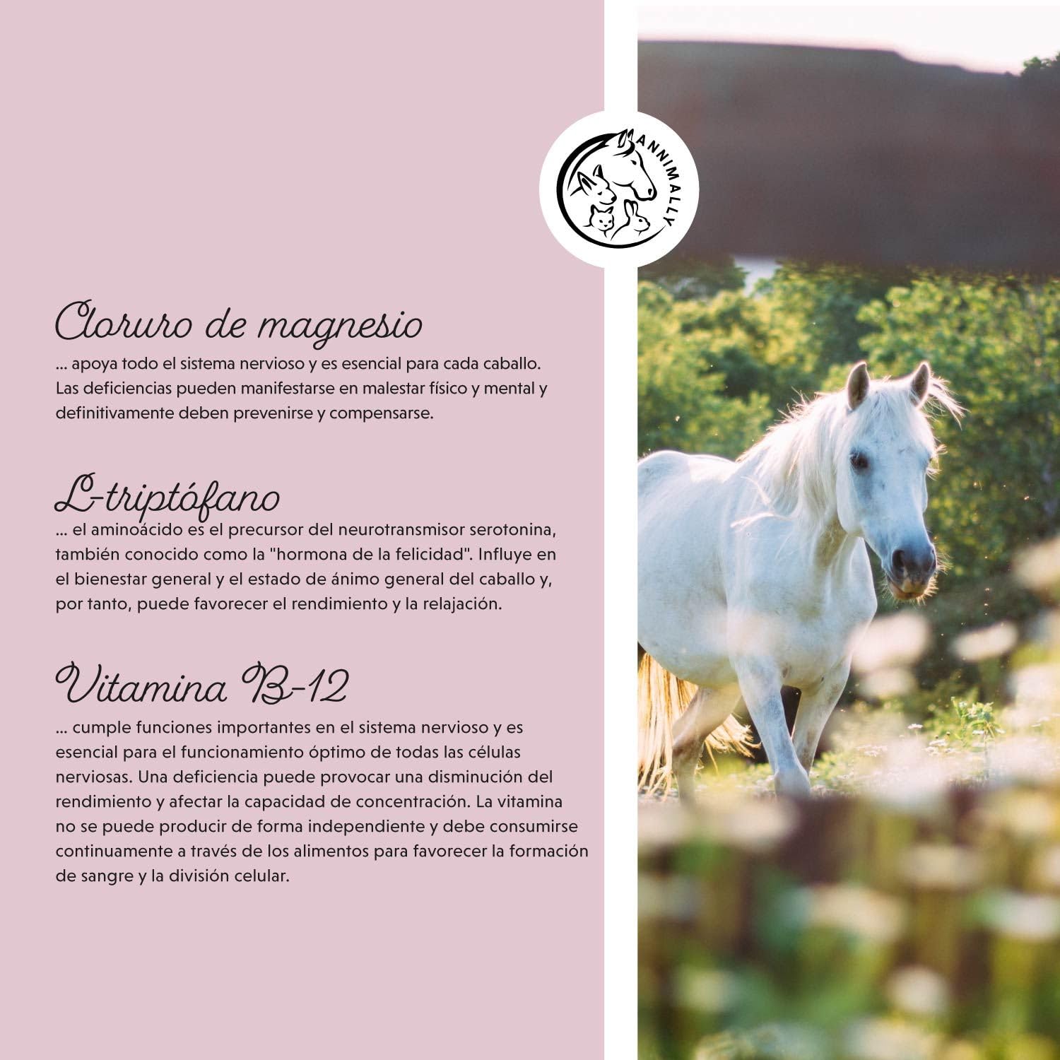 Annimally Relax Liquid para Caballos 1000ml, Jarabe calmante para Caballos con valeriana, lúpulo, triptófano, B12, magnesio y Calcio líquido - contra la ansiedad, el estrés y para el Transporte
