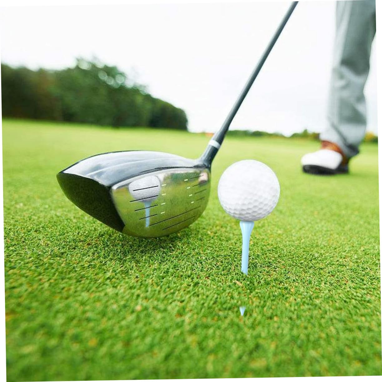 SUPVOX 300 Piezas De Madera para Clavos Soporte para De Golf