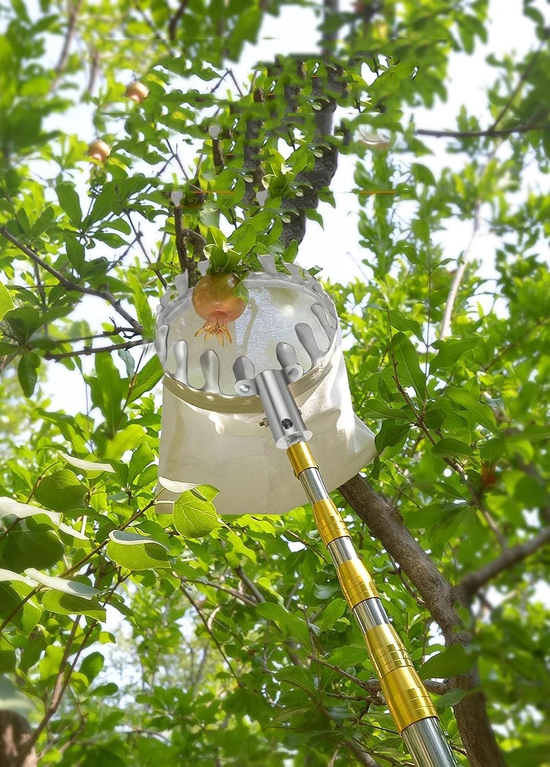 LekLai Raccoglitrice Di Frutta, Raccoglitore Di Frutta, Raccoglitore Di Frutta, Telescopico 2-10 M con Manico e Tasca/5M