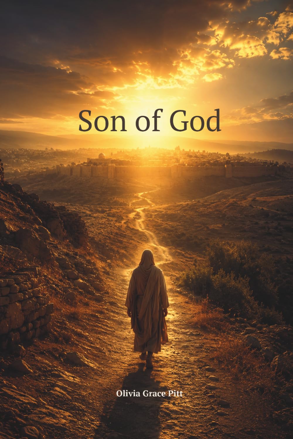 Son of God: Twelve Divine Treasures for the Narrow road