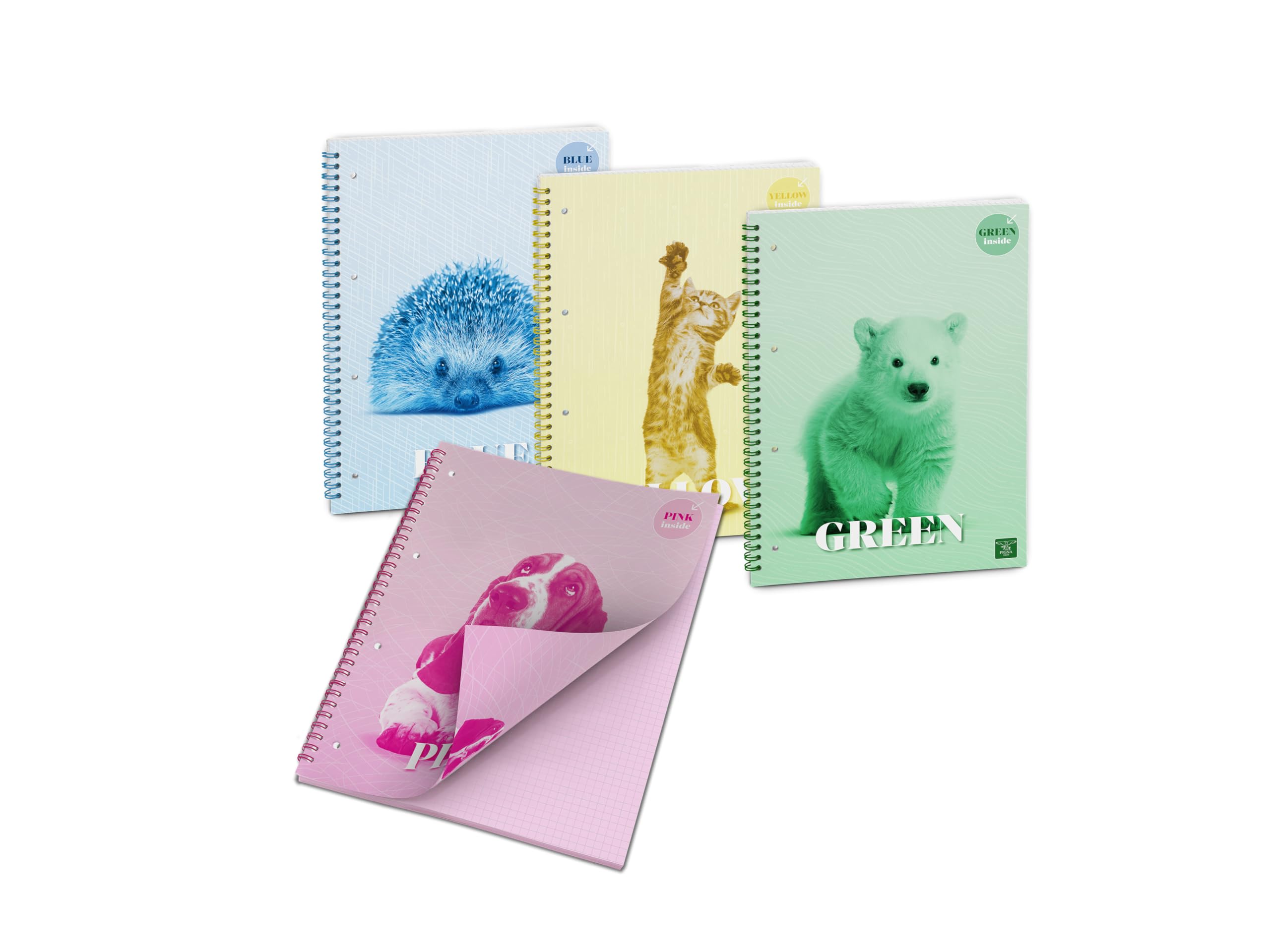 Pigna, Colour Inside Spiral Notebook with Coloured Sheets, 15 x 21 cm, 50 Sheets, 80 g/m², Lined Sheets, Pack of 4 (4 Subjects in Package)